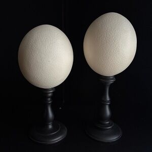 Ballard Designs mounted Ostrich Eggs Faux Resin Art